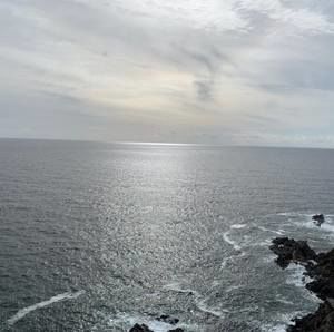 Meet your Posher, Kami